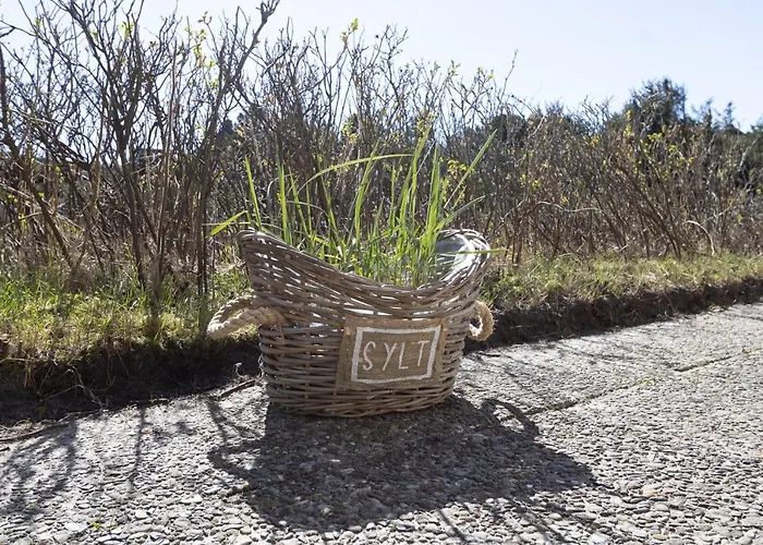 Ruem Hart Duenenperle *